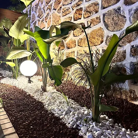 Silence Garden * 알란야